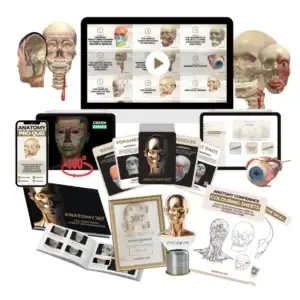 Anatomy360